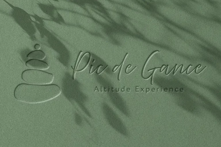 mockup carte du Logo Pic De Gance réalisé sur Photoshop