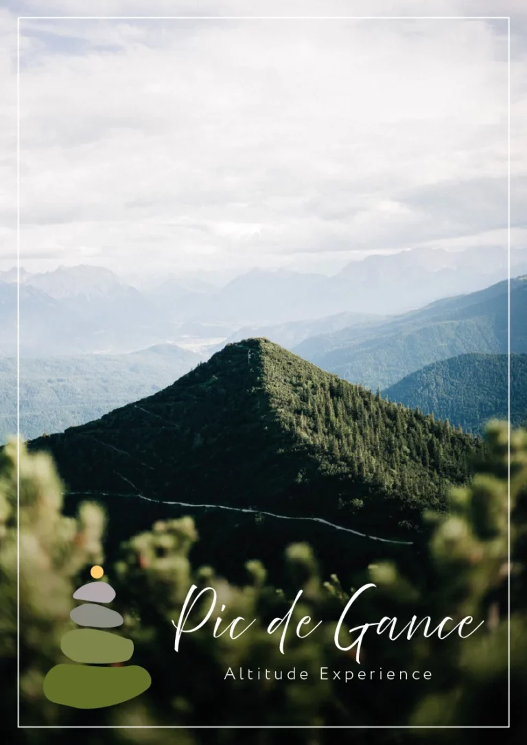 Affiche Pic de Gance paysage réalisée sur Illustrator